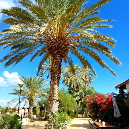 Golden Palms & Cafe 招待所 4*