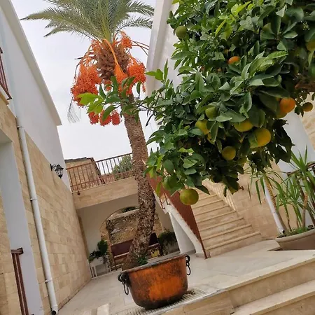 Golden Palms & Cafe 招待所 法马古斯塔