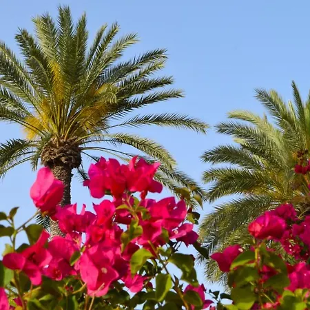 Golden Palms & Cafe 4*