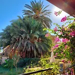 Golden Palms & Cafe بيت ضيافة فاماغوستا