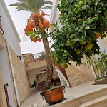 Golden Palms & Cafe بيت ضيافة فاماغوستا