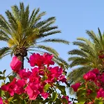 Golden Palms & Cafe 4*
