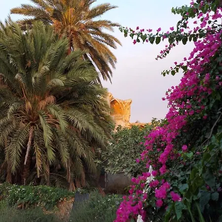 Golden Palms & Cafe 4* Famagusta (Northern Cyprus)