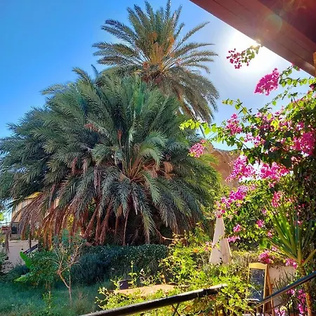 Golden Palms & Cafe בית הארחה פמגוסטה