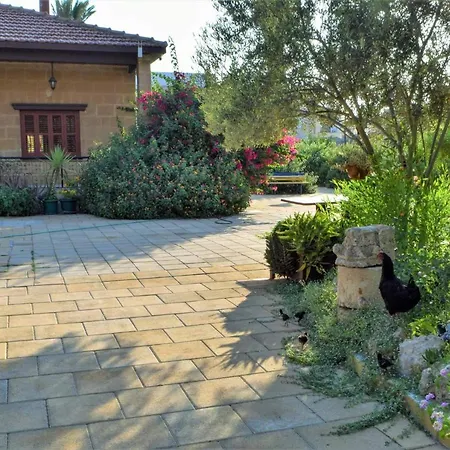 Golden Palms & Cafe 4* Famagusta (Northern Cyprus)