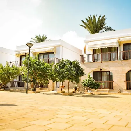 Golden Palms & Cafe * Famagusta (Northern Cyprus)