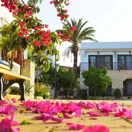 Golden Palms & Cafe Guest house Famagusta (Northern Cyprus)