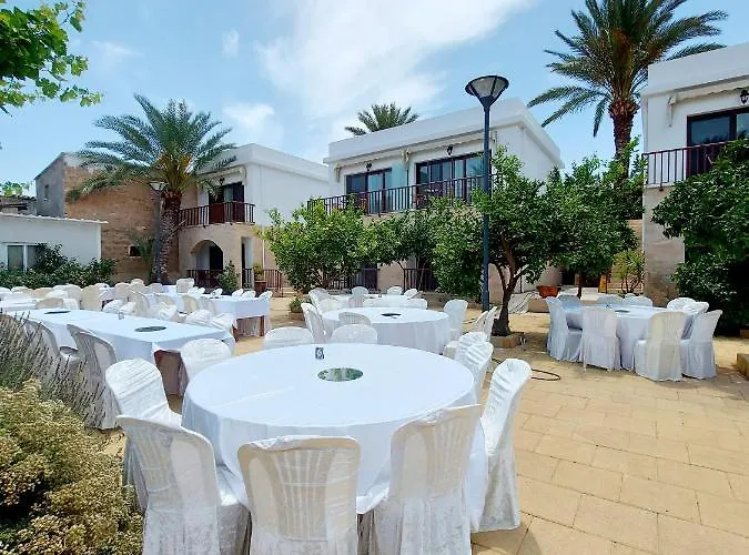 Golden Palms & Cafe Αμμόχωστος