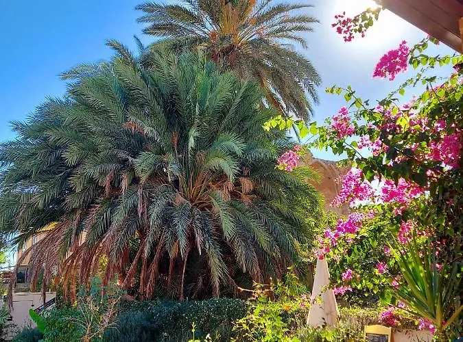 Golden Palms & Cafe Pensjonat Famagusta (Northern Cyprus)