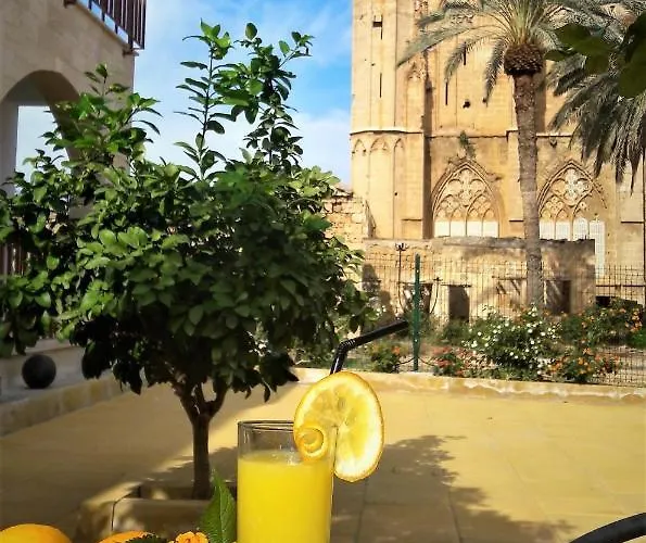 Golden Palms & Cafe Αμμόχωστος