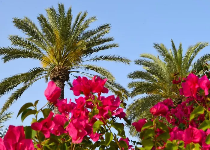 Golden Palms & Cafe 4*